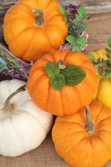 Pumpkin fancy on wood background.