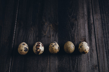 Obraz premium Wachteleier in einer Reihe