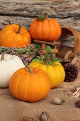 Pumpkin fancy on wood background.