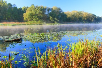 Beautiful morning on the lake