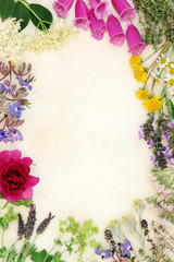 Natural Flower and Herb Medicine