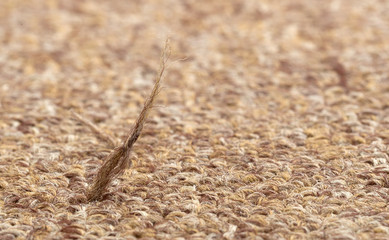 Broken fiber in carpet texture close-up