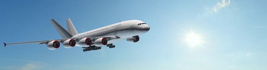 Obraz premium Modern Passenger Airplane fly in the sky - panorama