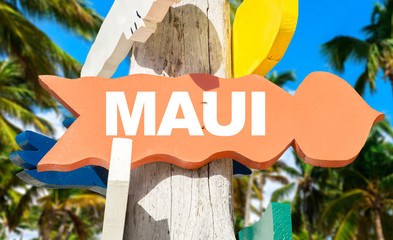 Maui welcome sign with palm trees