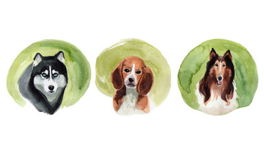 Set of dogs drawn by watercolor. Illustration with dogs for design advertising, magazine, dog food, pet-shop. Picture for banner, poster or flyer about pets, dogs.
