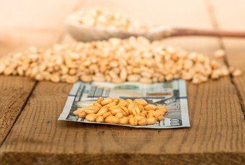 Wheat grains on dollar bills