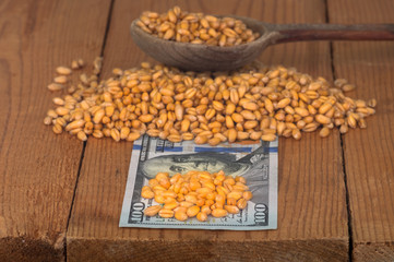 Wheat grains on dollar bills