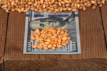 Wheat grains on dollar bills