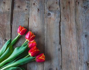 bouquet of tulips in front of spring scene