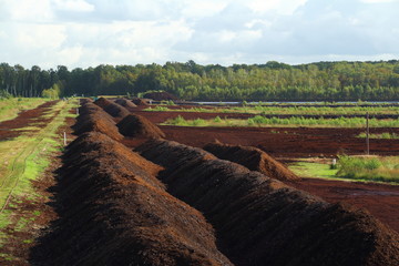Torfabbau im Himmelmoor
