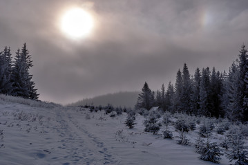 Fototapeta na wymiar Meadow Malorka on a cloudy day during the winter in Beskidy Mountains in Poland.