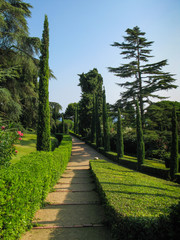 Alley with  cypress  trees  in the old  botanical  garden  on a sunny  day in  Lloret de Mar, Costa Brava, Catalonia, Spain.   