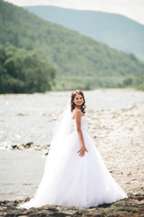Fototapeta na wymiar Beautiful luxury young bride in long white wedding dress and veil standing near river with mountains on background