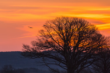 Obraz premium Early morning sunrise light