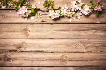Apple blossoms on wooden surface © Alexander Raths