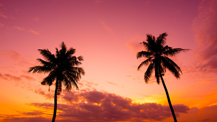 Fototapeta na wymiar Two palm trees silhouette on sunset tropical beach