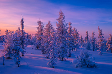 Winter landscape with forest, cloudy sky and sun 