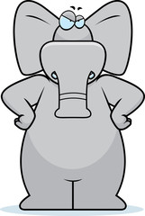 Angry Elephant
