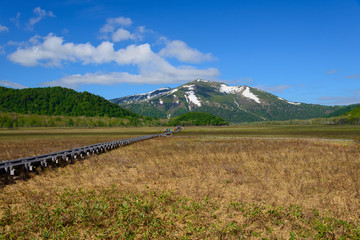 Ozegahara and Mt. Shibutsu in early summer in Gunma, Japan