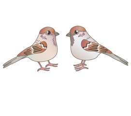 Two sparrows