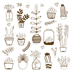 Big hand drawn set of house plants