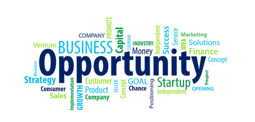Business Opportunity