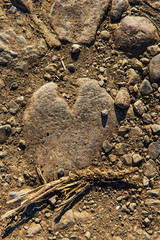Natural heart