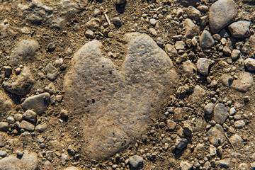 Natural heart
