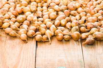 Onions shallots on the wooden planks background