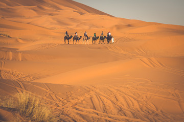 Obraz na płótnie Canvas Camel caravan going through the sand dunes in the Sahara Desert,