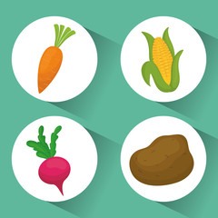 Vegetables icon design 