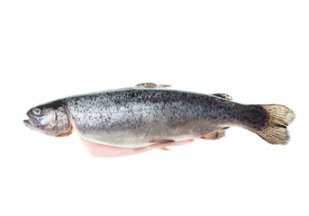 Fresh rainbow trout isolated white background