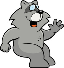 Raccoon Sitting