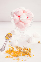 many meringue in studio