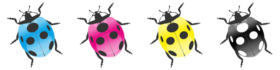 cmyk32 CyanMagentaYellowKey - c m y k - seamless ladybird coccinellidae - 4to1 g4257