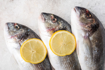 Dorado on ice at seafood booth