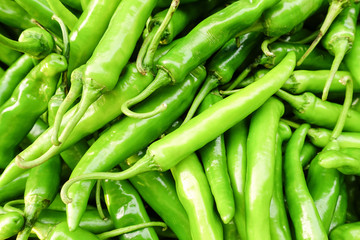 Green chilli background.