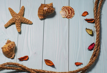 Wooden background with starfish, sea shells and marine rope