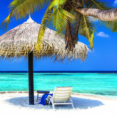 tropical getaway - Maldives islands