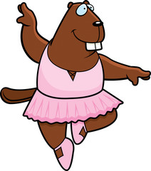 Beaver Ballerina