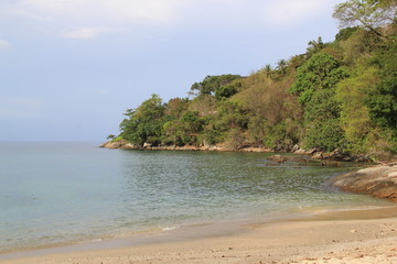 Sea nature, year 2015