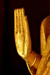 Hand of Buddha Asia