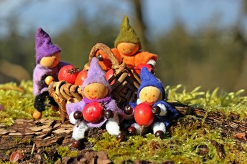 Vier kleine Wichtel sammeln rote Beeren

