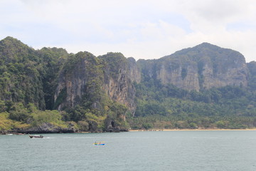 Sea nature, year 2015