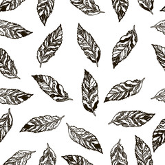 Vector seamless texture with hand-drawn feathers on the white background. Seamless background pattern with abstract feathers. Vector illustration.