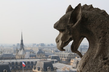 Gargoyle, Paris, year 2010