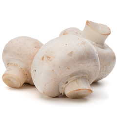 Champignon isolated on white background cutout