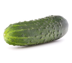Cucumber vegetable  isolated on white background cutout