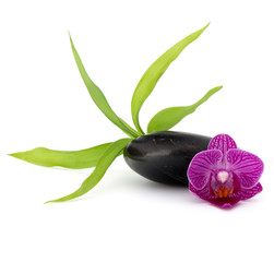 Zen pebbles and orchid flower. Stone spa and healthcare concept.