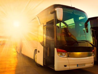 transport bus © erainbow